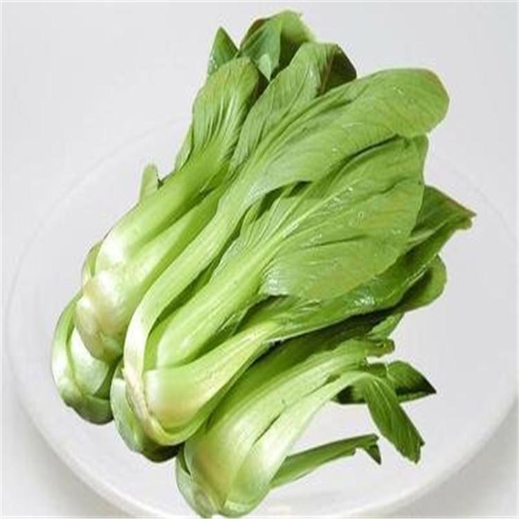 自动化菜苔荠荠菜蚕豆桑嫩芽蒸煮漂烫冷却生产线工厂型蔬菜专用流水线