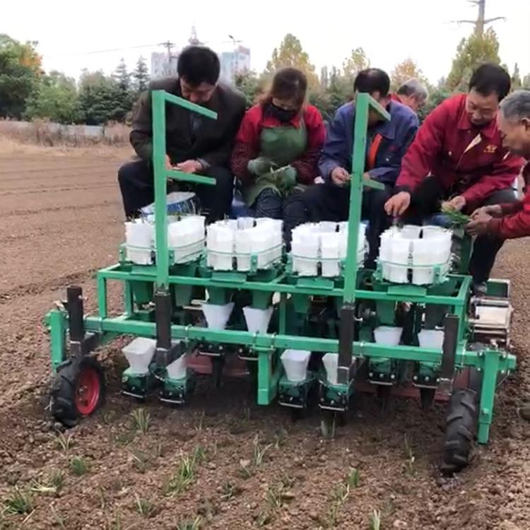 洋葱移栽机 华龙移栽机 移栽机制造商 现货供应