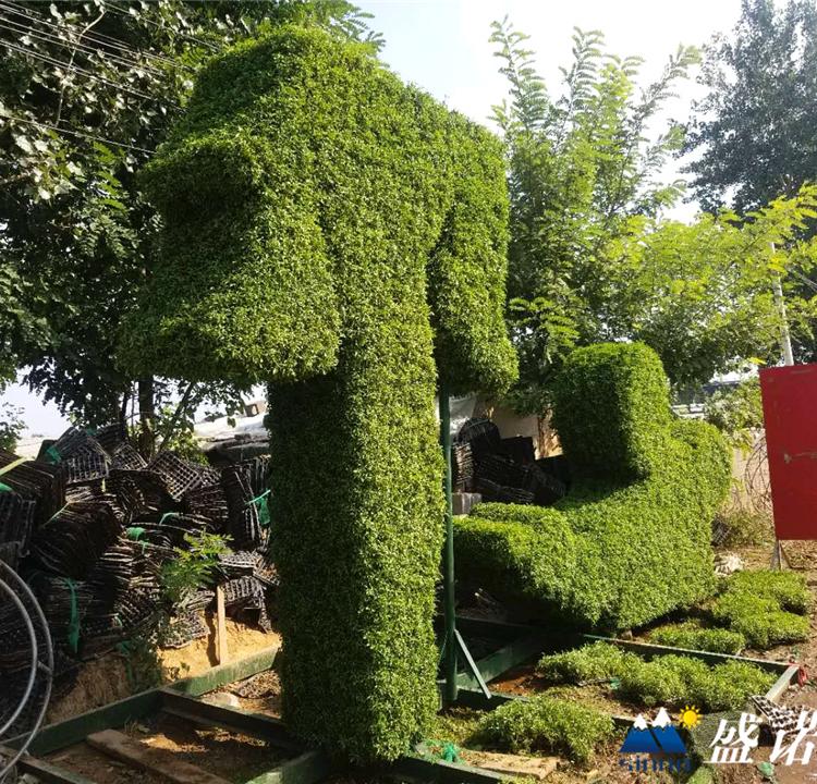 人物景观绿雕 广场绿雕 园艺绿雕 绿雕造型设计安装