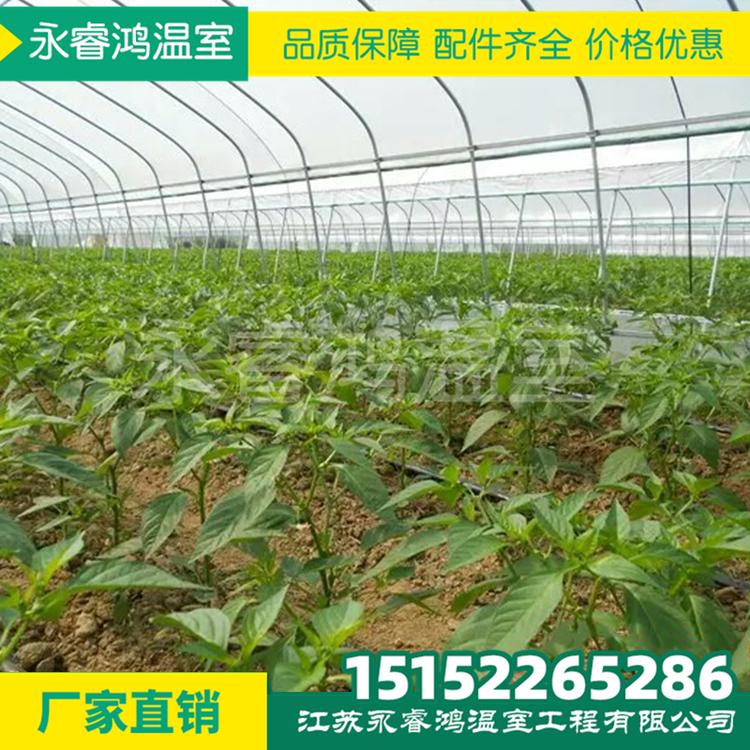 蔬菜大棚按需定制