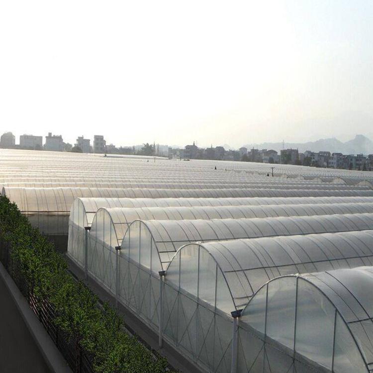 濮阳625 8-32型 蔬菜大棚 养殖大棚  外遮阳连栋大棚 连栋温室大棚 大棚钢管价格明细