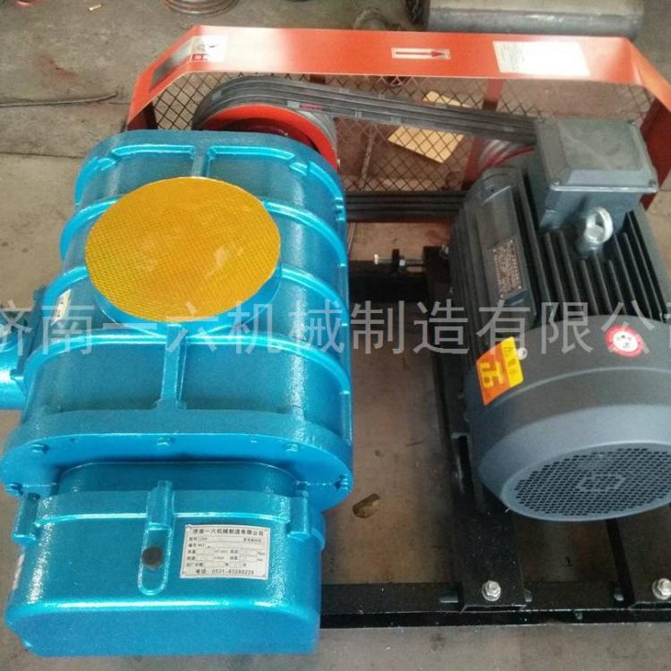 密集型面粉厂专用罗茨鼓风机水处理罗茨鼓风机高压水冷罗茨鼓风机配件