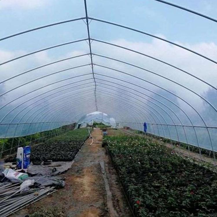 大棚膜/塑料薄膜/农膜 保护泥土湿润程度 促进植物生长
