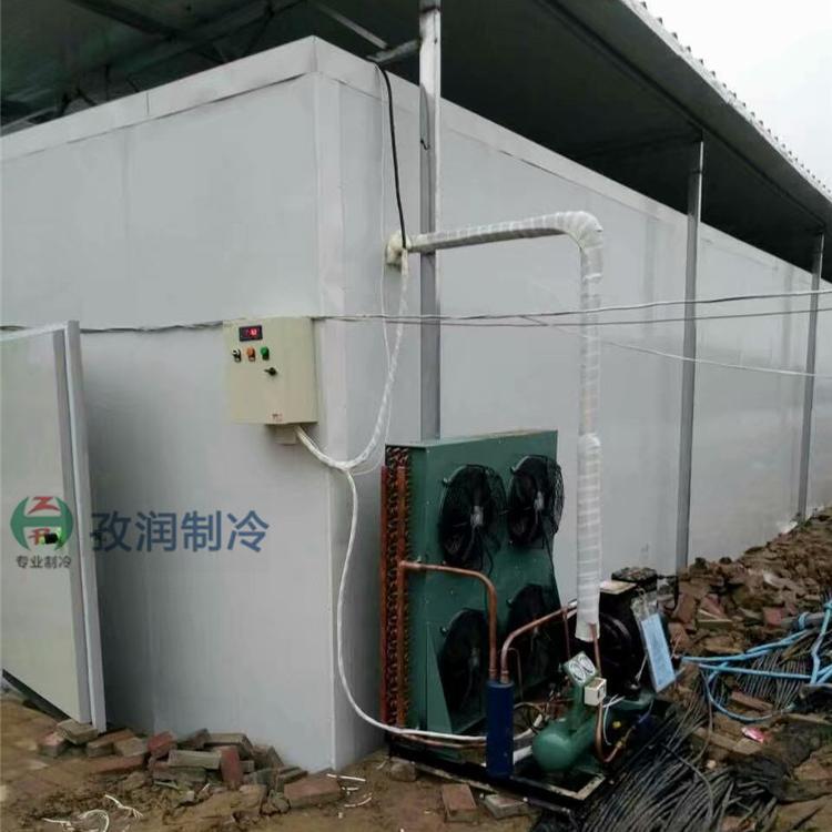 合肥茶叶冷库-茶叶保鲜冷库-专业冷库安装