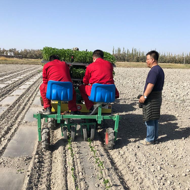 莴笋移栽机  华龙移栽机   现货供应蔬菜移栽机  移栽机订制