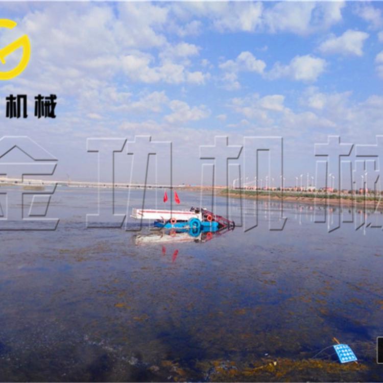 全自动割草船图片  河道割草船厂家 中型割草船工作视频