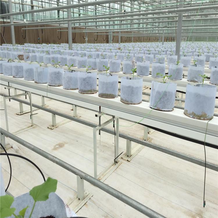大量供应荷兰模式果菜系统   园区规划设计运营方案