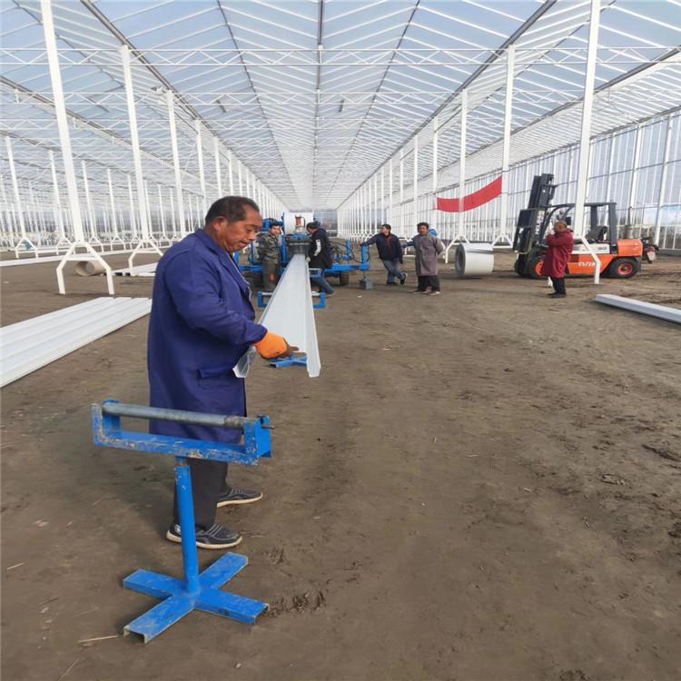 大量供应荷兰模式果菜系统   设施