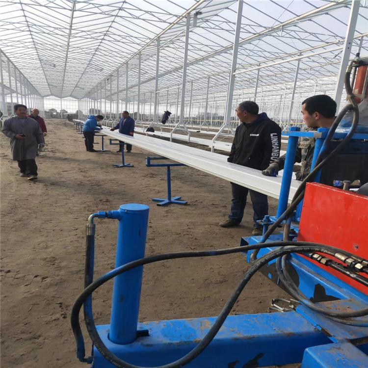 大量供应荷兰模式种植系统   项目