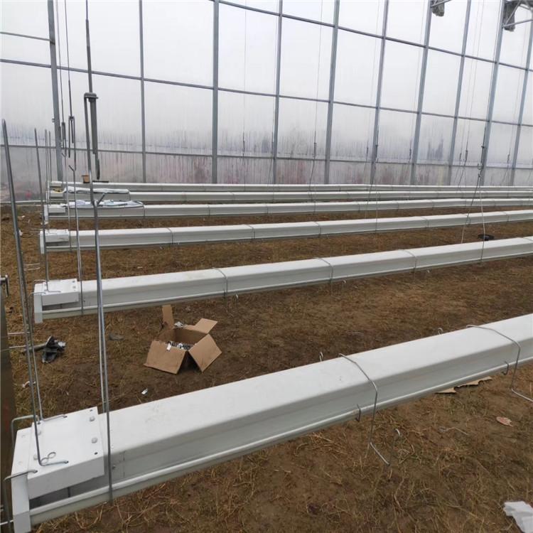 方立--荷兰模式果菜种植   无土栽培种植设备
