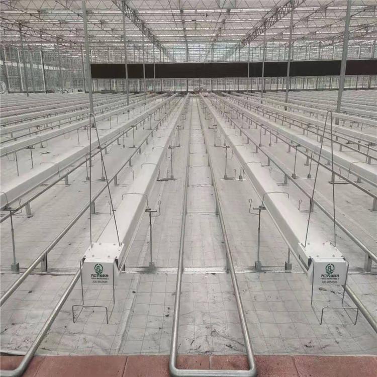 方立--荷兰模式果菜种植   咨询