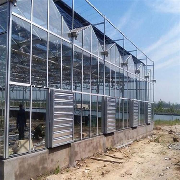 陕西文洛温室造价  文洛温室建设