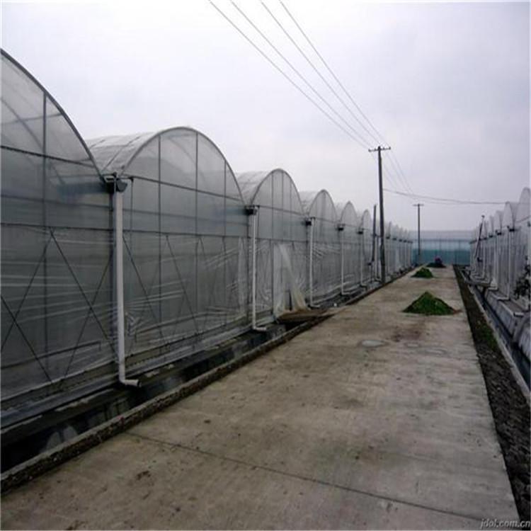 连栋温室大棚 连栋大棚
