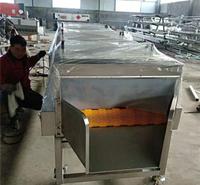 日照牡蛎清洗设备批发商海蛎子去泥污除杂专用型现货厂家直销