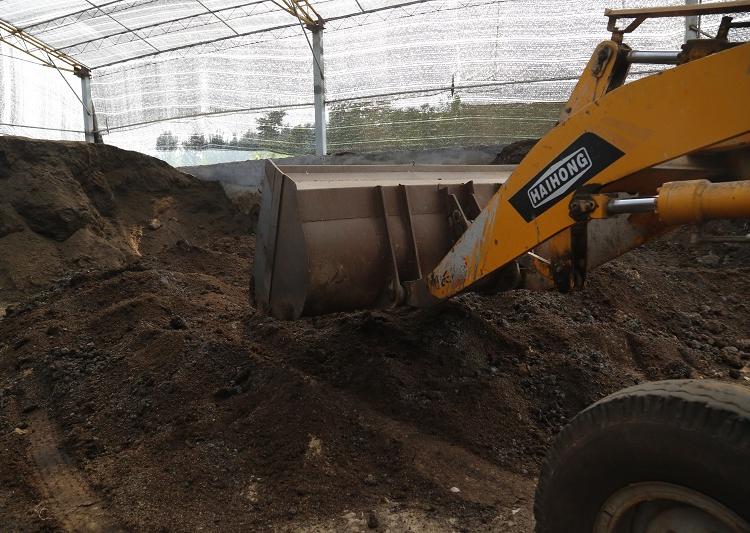 育苗基质 壮苗基质 育苗基质多少钱一吨 草炭土
