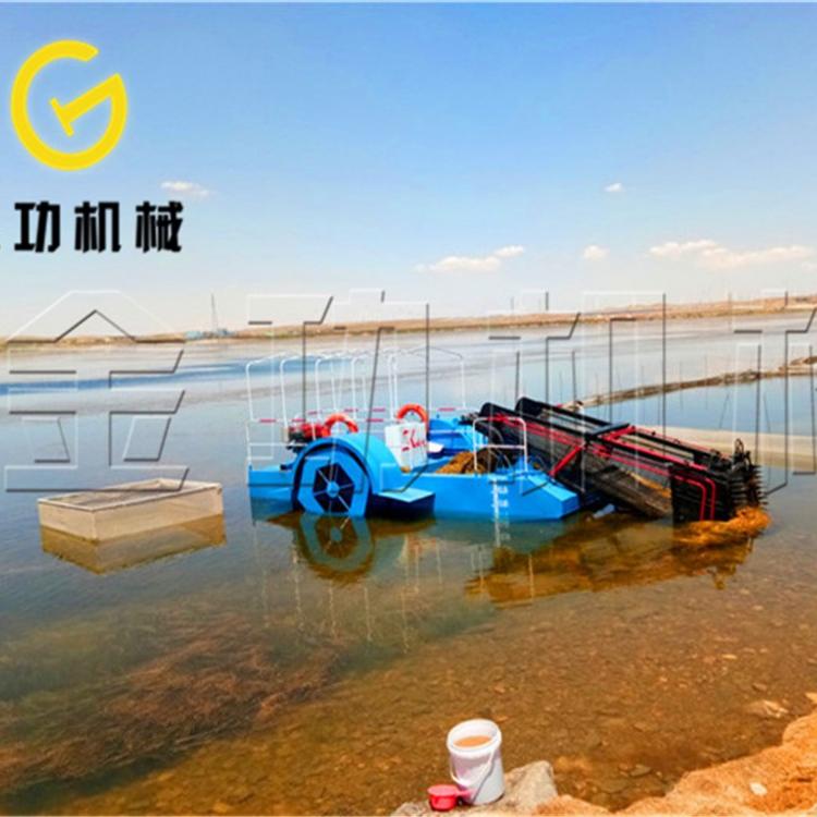 机械化清漂船 割草船 效率高 成本低