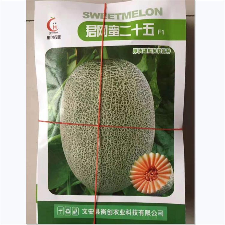田骏   抗病毒哈密瓜种子  哈密瓜种子  君网蜜二十五哈密瓜种子
