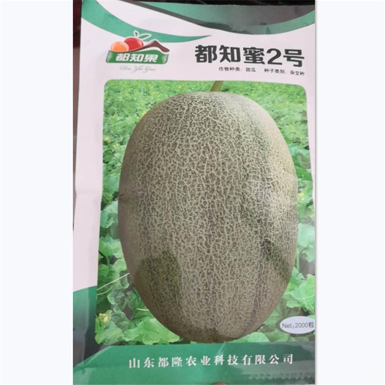 哈密瓜种子   大果型哈密瓜种子   山东哈密瓜种子