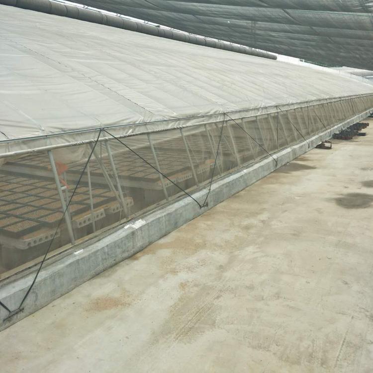 蔬菜大棚  采摘大棚 农业种植大棚承建  鑫创蔬菜大棚建设