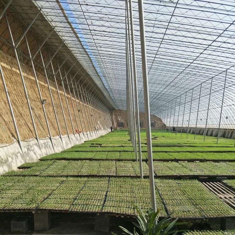 山东可定制单体简易大棚承建 建设种植大棚 鑫创