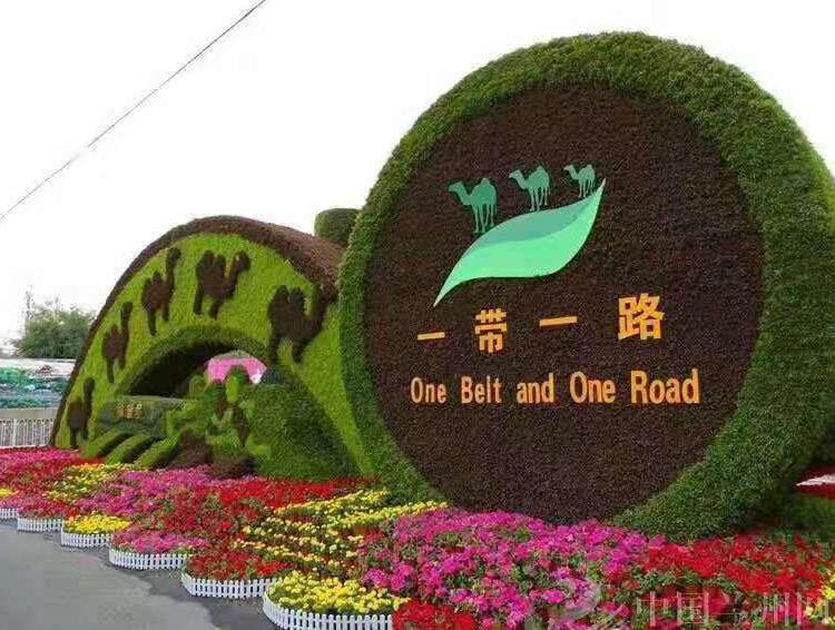 大量供应五色草 菊苗 菊花 艺菊 五色草造型等