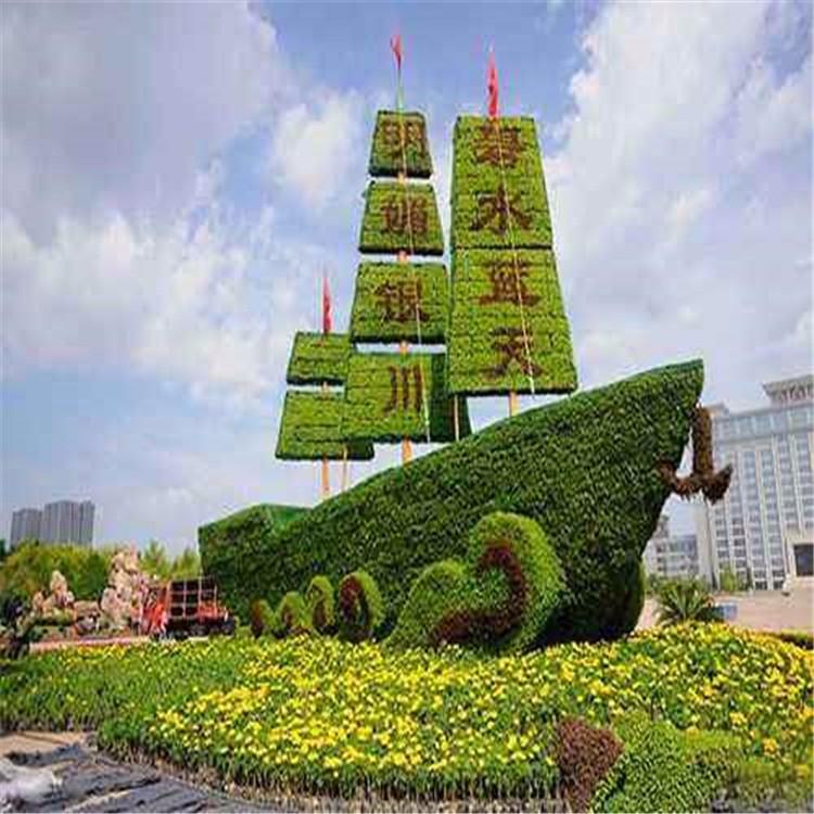 供应五色草 五色草批发价格 五色草基地