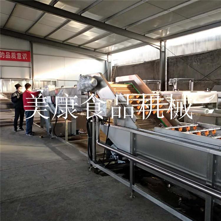 爱马柿专用清洗机工厂化果蔬清洗加工生产流水线