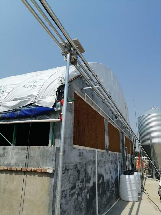 青州育肥料线厂家  育肥料线质量从优