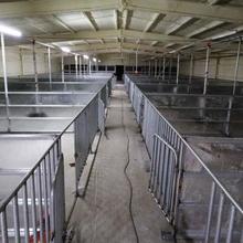 山东育肥自动上料线厂家  育肥自动上料线质量从优