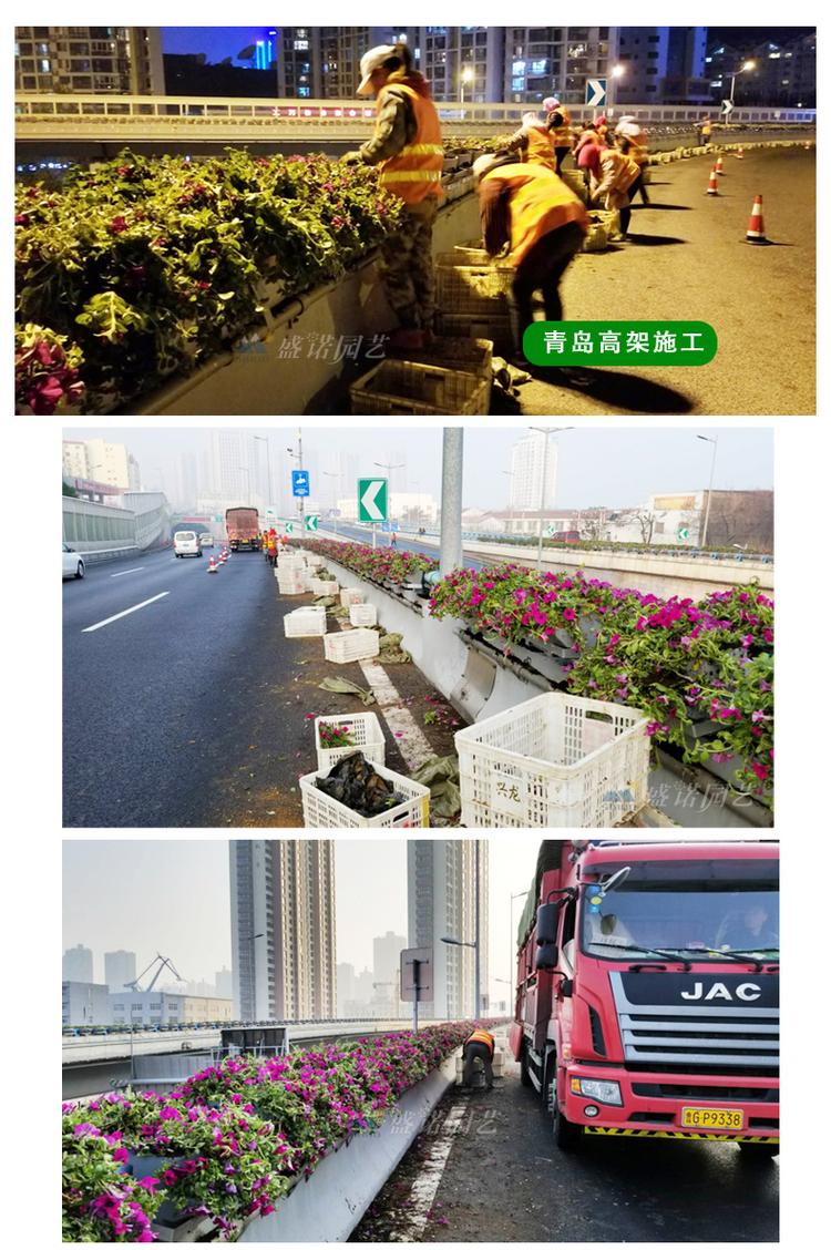 长形蓄水花盆 桥梁马鞍式花盆 立体组合花盆 公司企业
