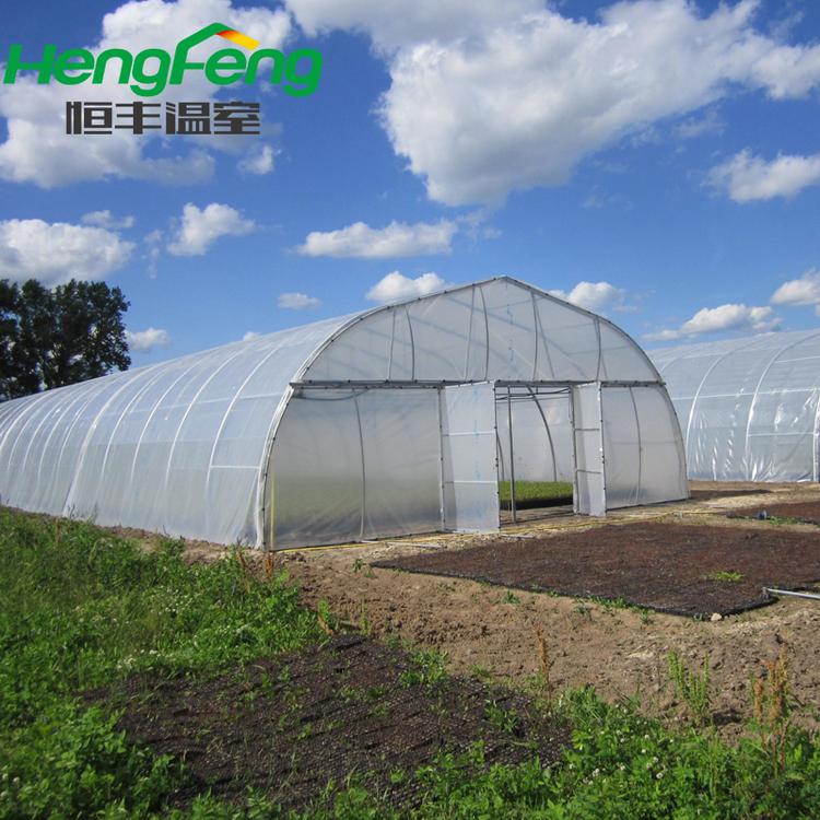 拱形温室价格低廉适用于种植水果蔬菜投入小收益高