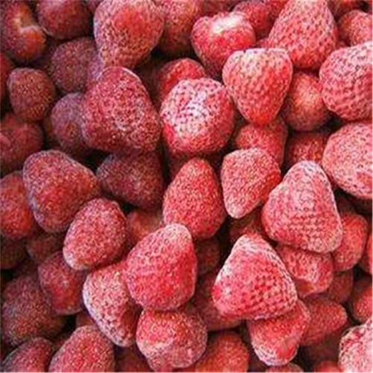 银杏 胡萝卜 绿菜花 牛蒡 麻笋丝 藕片 草莓果蔬速冻生产线304不锈钢厂家直销