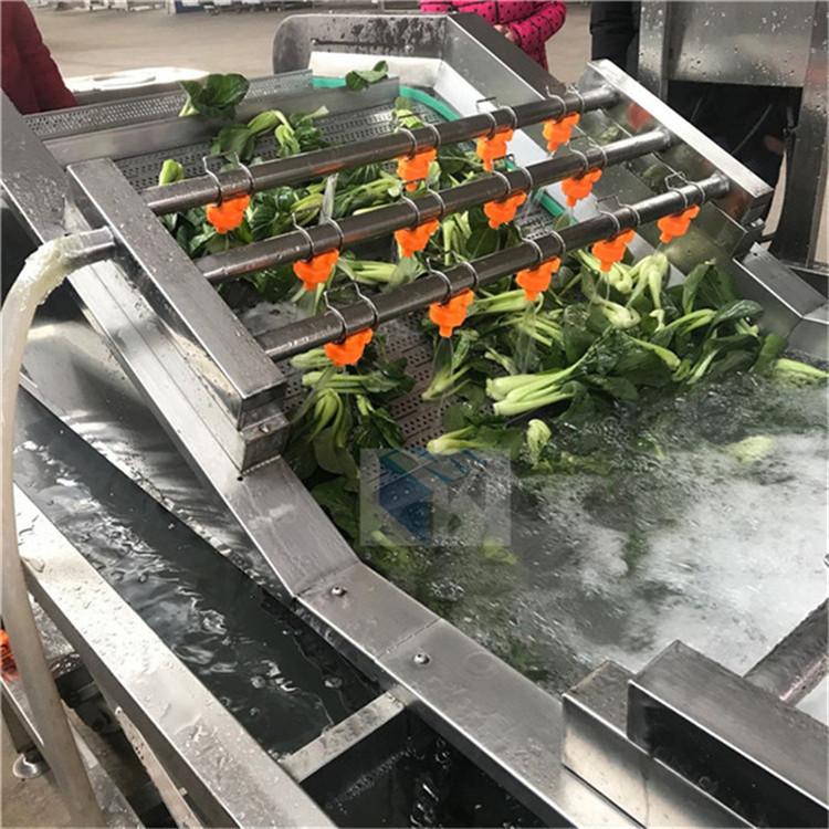 蔬菜清洗机 包子馅料加工设备 厂家直销 流水线作业 清洗产量大