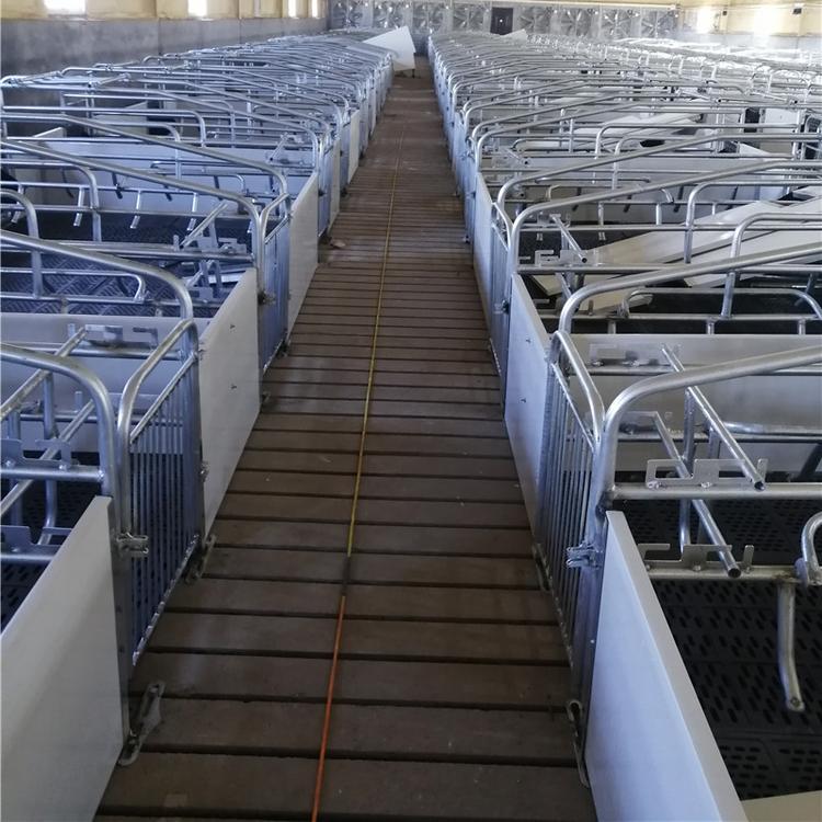 山东母猪产床 丞郡直销 母猪产床 养猪产床报价