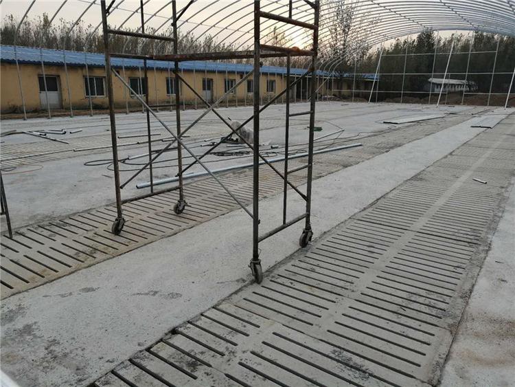 潍坊水泥漏粪板 水泥漏粪板加工 现货发售猪场漏粪板
