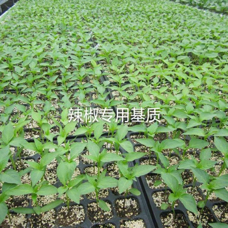 青州市盛禾育苗基质厂品质保障