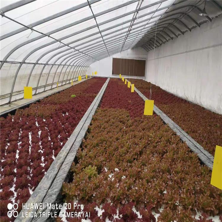 方立以色列潮汐式植系统  以色列潮汐式植系统项目