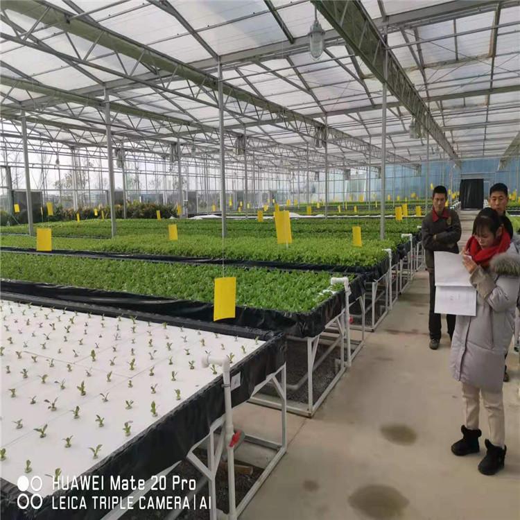 定制以色列潮汐式植系统  以色列潮汐式植系统无土栽培技术施工