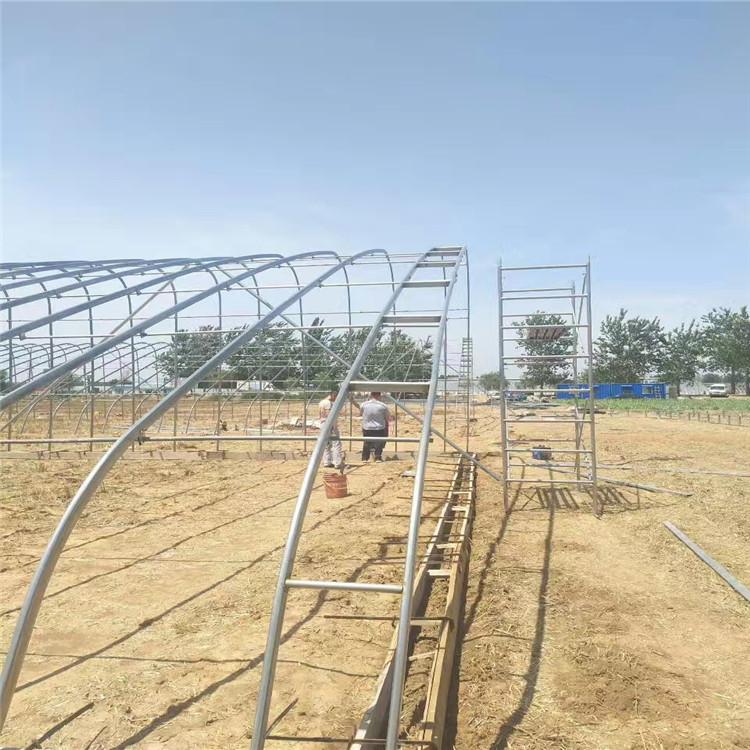 厂家建设冬暖式日光温室   冬暖式日光温室园区规划设计运营方案