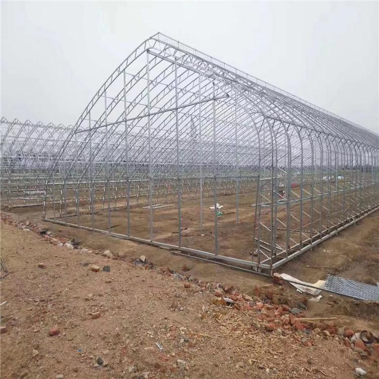 常年建造温室建设   温室建设项目