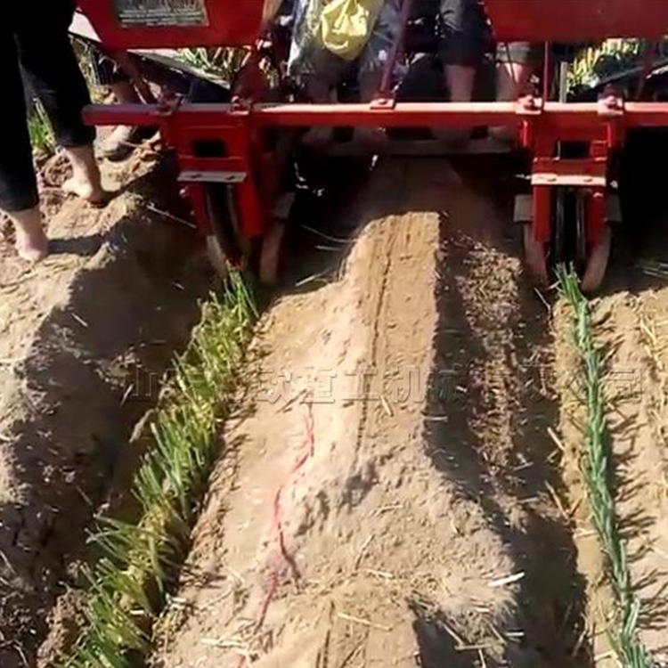 蔬菜移栽机 大葱移栽机 移栽机价格 移栽机厂家