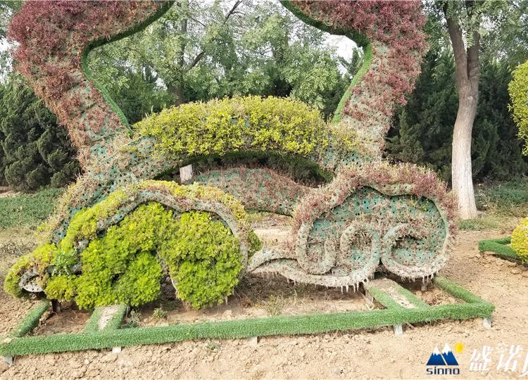 绿雕造型 绿雕景观 设计新颖 直销