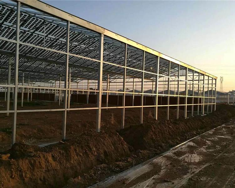 温室工程承接 金威温室 加工定制各类型玻璃温室 钢管骨架连栋温室大棚