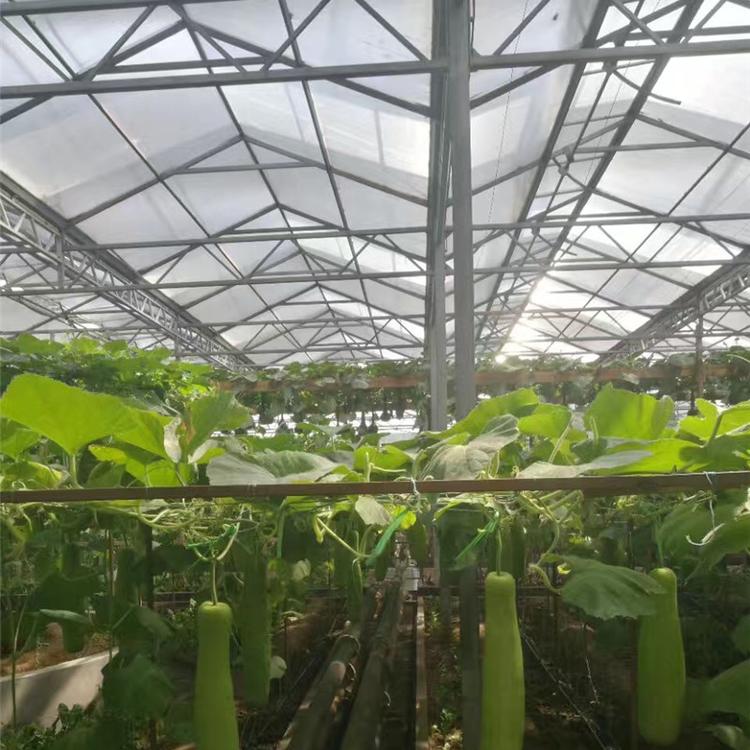 山西薄膜连栋温室 连栋温室 温室大棚 温室工程 品质保障