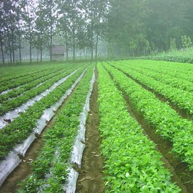航立农膜 全新料环保无毒 农用透明塑料薄膜 塑料薄膜