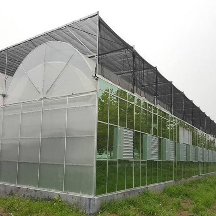 智能温室大棚 智能温室大棚工程 江苏智能温室大棚