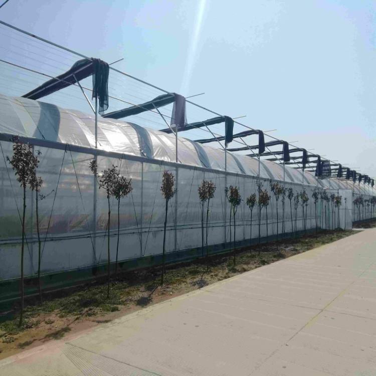 连栋温室 连栋温室建造公司 甘肃连栋温室