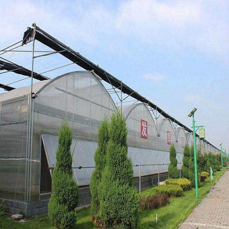 蔬菜连栋温室大棚 蔬菜连栋温室大棚承建商 山东蔬菜连栋温室大棚