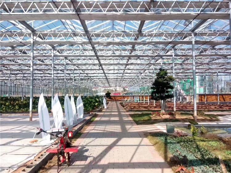 青州蔬菜大棚建设 高端养殖大棚 养猪 养殖棚建设
