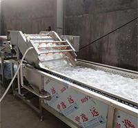 供应海草丝专用清洗机-毛刷辊去杂去毛发清洗流水线 海产品生产线加工机器价格